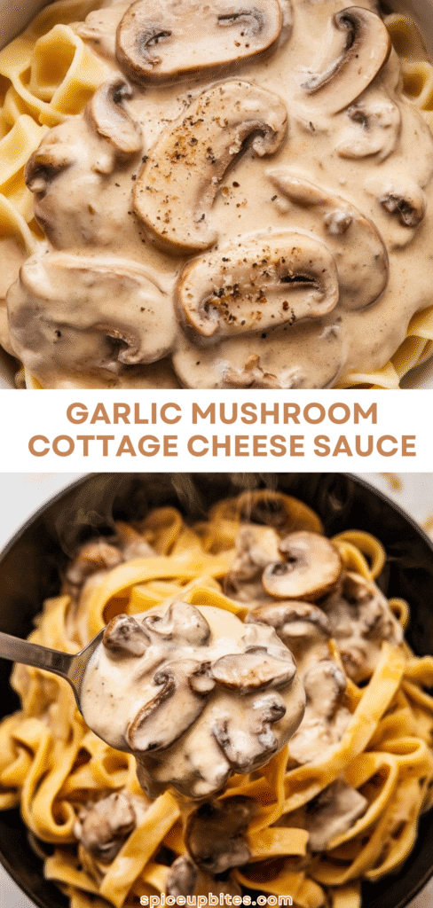 Garlic Mushroom Cottage Cheese Sauce