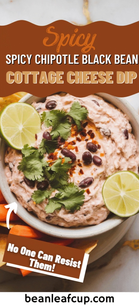 Spicy Chipotle Black Bean Cottage Cheese Dip