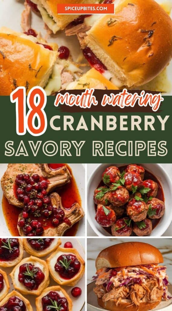 Cranberry Savory Recipes 2