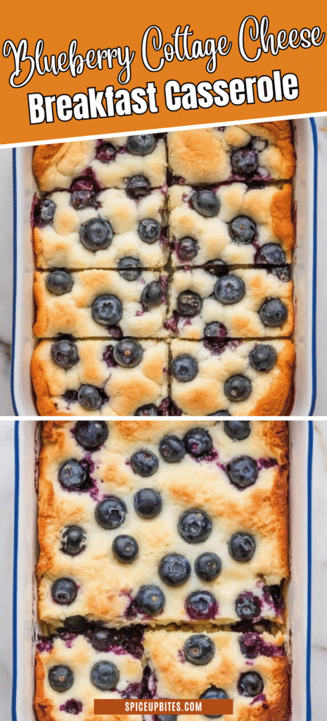 Blueberry Cottage Cheese Breakfast Casserole