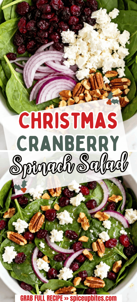 Christmas Cranberry Spinach Salad 6