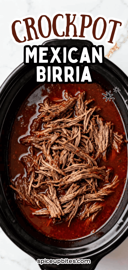 Crockpot Mexican Birria 3