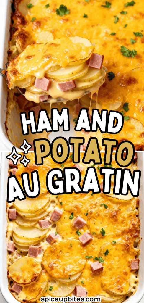 Ham and Potato Au Gratin