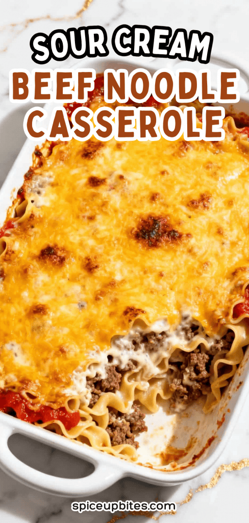 Sour Cream Beef Noodle Casserole 2