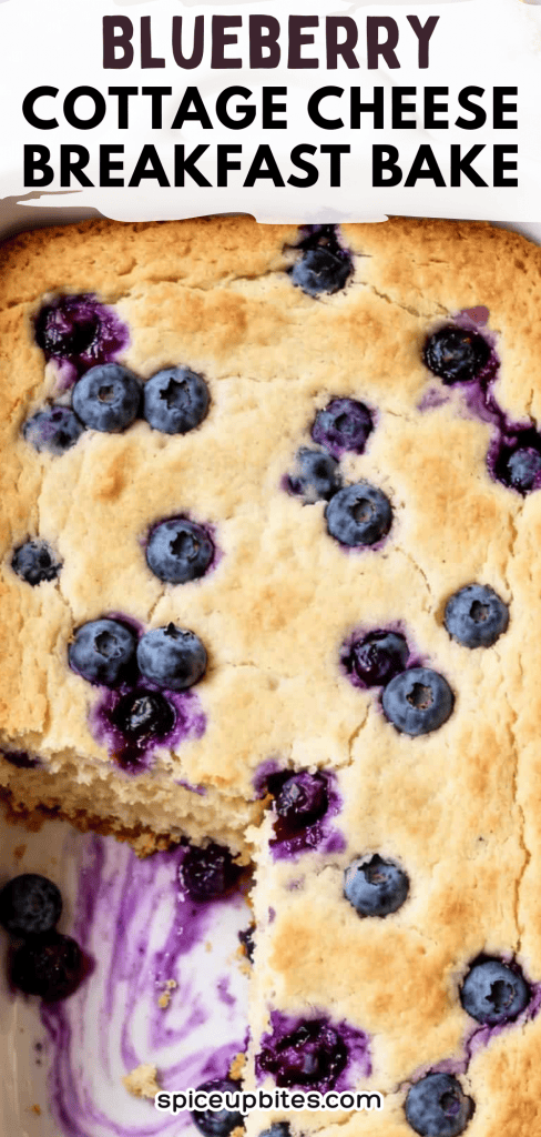 Blueberry Cottage Cheese Breakfast Bake 3