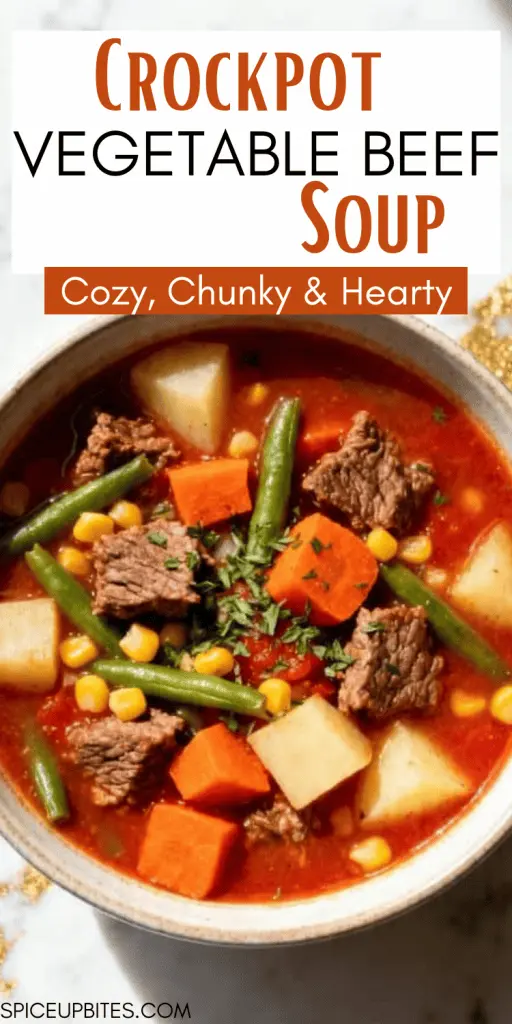 Crockpot Vegetable Beef Soup