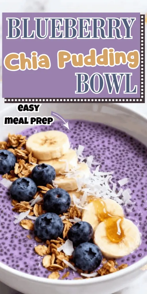 Blueberry Chia Pudding Bowl