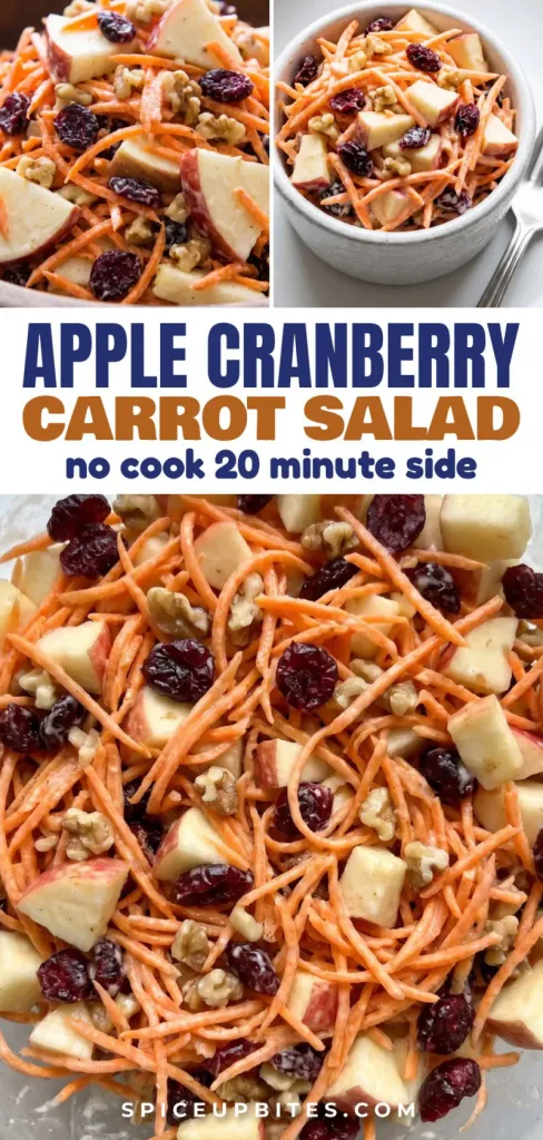 Apple Cranberry Carrot Salad: No Cook 20 Minute Side Dish